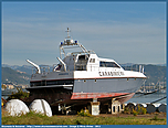 DSCF6361.jpg