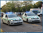 IMG_6979_copia.jpg
